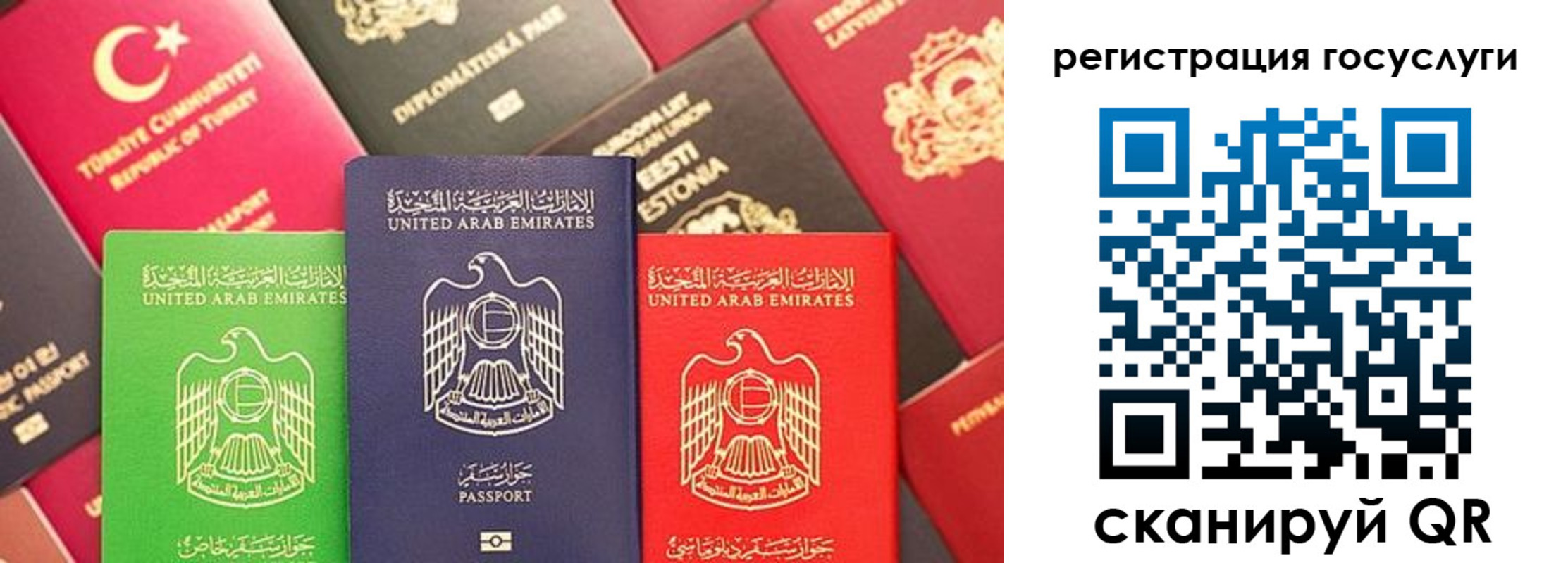 временная регистрация недорого в Снежногорске