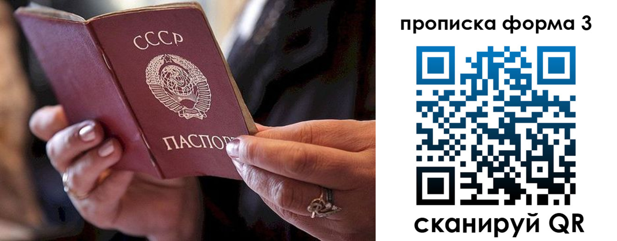 регистрация для школы в Снежногорске