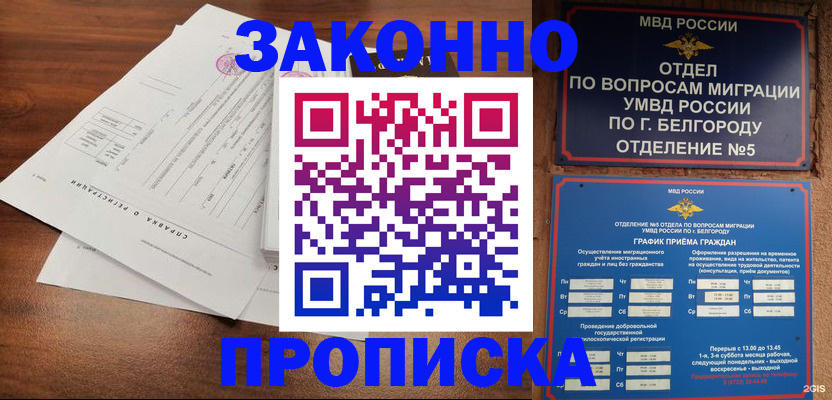 прописка в Снежногорске